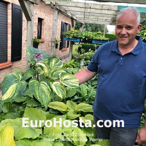 Hosta Coastal Rainbow Warrior