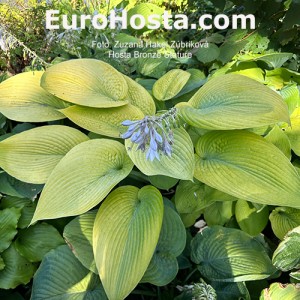 Hosta Valley's Bronze Stature