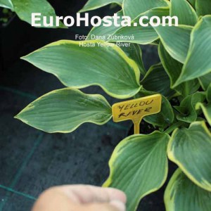 Yellow River - Eurohosta