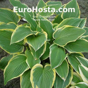 Yellow River - Eurohosta